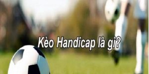 Cược Handicap Là Gì? Tìm Hiểu Về Kèo Chấp Chi Tiết